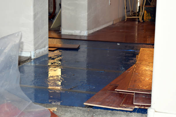 Professional Basement Flood Cleanup technician working in Charleston, ME